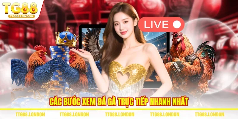 Các bước xem đá gà trực tiếp nhanh nhất